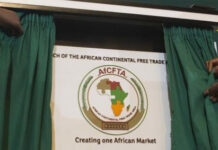 Without a common currency and industrialization, AFCTA will become a futile campaign