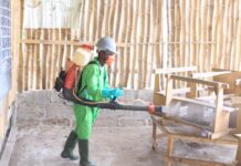 Will the pandemic have a significant environmental impact?