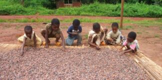 COCOBOD Reiterates Commitment To Eliminating Child Labour In Ghana’s Cocoa Sector
