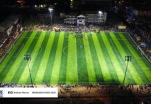 More AstroTurfs coming up—Sports Minister-Designate hints Minority to Sports Minister