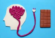 Sugar not so nice for your child’s brain development, study suggests Brain