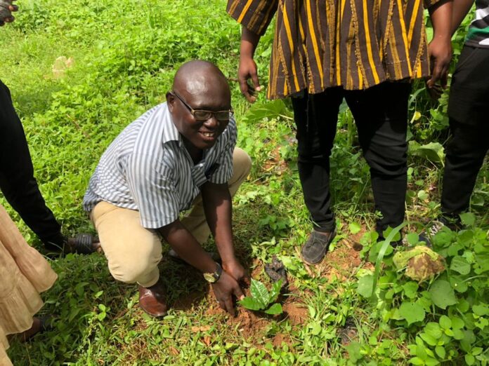 Salaga-South NDC joins Green Ghana Initiative