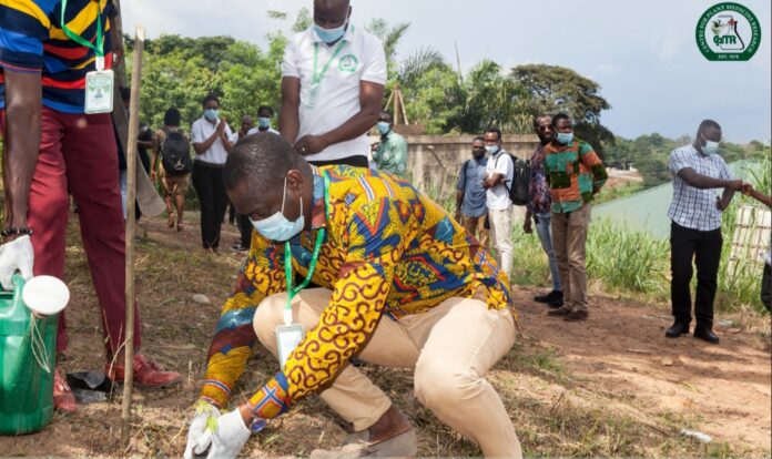 Let’s plant trees to preserve traditional medicine—CPMR Boss