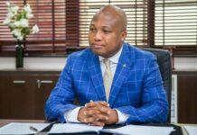 NPP GERMANY Tackles Ablakwa’s Presidential Jet Hypocrisy
