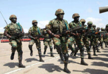 El-Wak Stampede: NPP GERMANY Demands Sacking Of Top Military Hierarchy