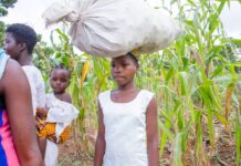 Debiso: Rising Child Labour cases threaten Ghana’s cocoa sale