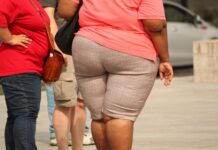 Bad eating habits linked to the lead cause of Obesity