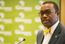 Africa and the Caribbean to strengthen cooperation through their regional development banks AFDB Boss Akinwumi Adesina