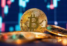 Interest In Cryptocurrencies At An All Time Low