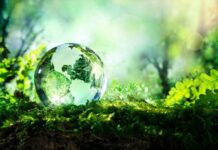 It’s Time for Europe and Africa agree on a Green Gas Deal