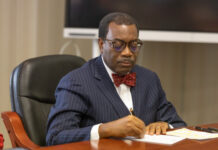 Investing in Africa is profitable, African Development Bank President tells Japanese investors
