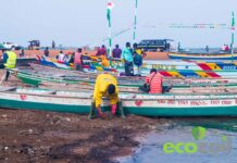 Massive clean-up of landing sites, along Volta Lake as Transport Ministry Partners ECOZOIL