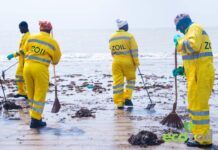 EcoZoil decries the filthy state of Beaches in the country