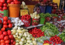 24-Hour Sleeping John Mahama-NDC Leadership Must Wake Up—NPP GERMANY On Burkina Tomato Ban Food
