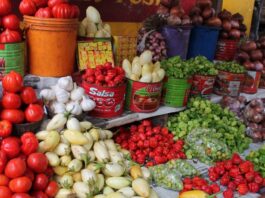 24-Hour Sleeping John Mahama-NDC Leadership Must Wake Up—NPP GERMANY On Burkina Tomato Ban Food
