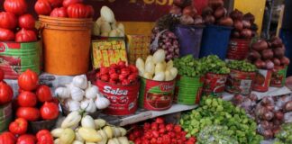 24-Hour Sleeping John Mahama-NDC Leadership Must Wake Up—NPP GERMANY On Burkina Tomato Ban Food