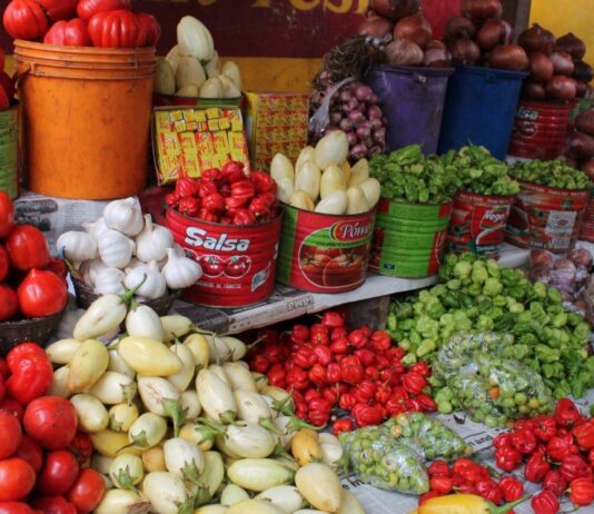 24-Hour Sleeping John Mahama-NDC Leadership Must Wake Up—NPP GERMANY On Burkina Tomato Ban Food