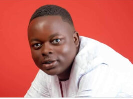 ‘Criticism Must Come With Credibility; NPP Lost That Long Ago’ Japhet Festus Gbede