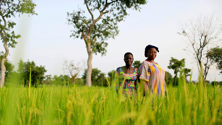 Climate Smart Agriculture