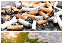 Pass the Excise Duty Bill on tobacco products now—VALD-Ghana to Ghana government