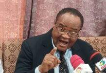 Stop playing games and politics with Agric—CADA Vice President advises Ghanaian leaders