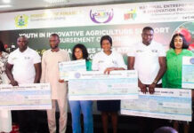 NEIP Boosts Youth In Agric By Disbursing GH¢10 Million As Support Grants