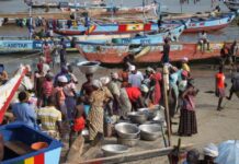 Are There Enough Fishes In The Sea Or Is The Recovery Lagging?