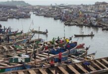 More Canoes, Less Fish