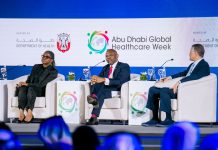 Embracing Africapitalism: Path To Sustainable Development And Economic Empowerment