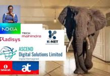 Elephant In The Room: Ghana’s Shared 4G/5G Infrastructure