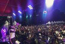 Amerado Shuts Down 36th Ghanafest In Chicago