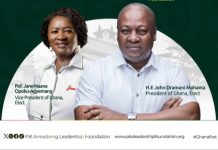 Wofa Kay Thinking Aloud….When the Elephant Falls—-This Is Science: A Love Letter To My Party–NPP