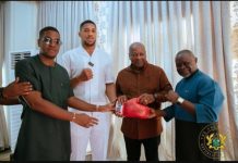 ‘Scrutinise Sharaf Mahama The Same Way Ghanaians Served Akufo-Addo And His Daughters’ —NPP GERMANY