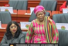 Leadership Requires Empathy, Not Reckless Loose Talks—NPP GERMANY On Pusiga MP