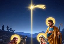 Merry Christmas, Happy New Year From NPP GERMANY To All Ghanaians And NPP Supporters