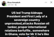 Ekua Amoakoh Exposed: Immaturity At Its Highest In Communication And International Relations