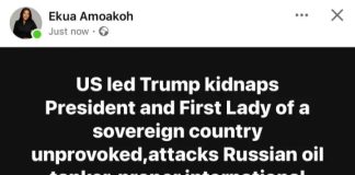 Ekua Amoakoh Exposed: Immaturity At Its Highest In Communication And International Relations