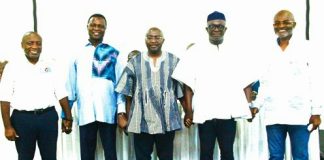 Ahead Of NPP Presidential Primaries: NPP GERMANY Calls For Decorum