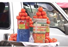 Why Should Ghana Depend On Desert-prone Burkina Faso For Tomatoes? NPP GERMANY On The Killing Of Tomato Traders