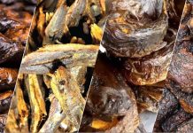 Vayo Gh Strengthens Ghana’s Inland Fish Supply Chain With Premium Dried Fish From Oti Region