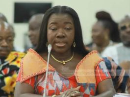 John Mahama–NDC Must Fix This Broken Agricultural Sector As A State Of Emergency—NPP GERMANY