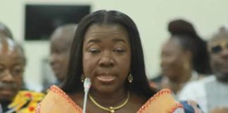 John Mahama–NDC Must Fix This Broken Agricultural Sector As A State Of Emergency—NPP GERMANY