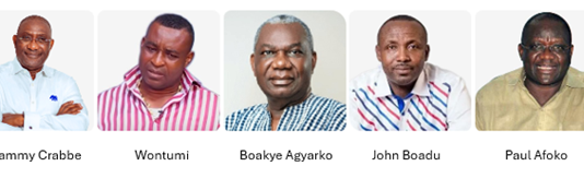 NPP Chairmanship Race Takes Structural Turn As Independent Survey Reveals Clear Front-runner