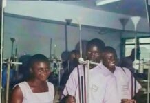 Dickson Assan Writes: When Society Decides Who Is ‘Smarter’; My Experience As A Science Student