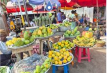 The Chemical Residues On Our Plates: Africa’s Quiet Food Safety Crisis