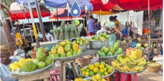 The Chemical Residues On Our Plates: Africa’s Quiet Food Safety Crisis