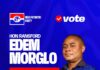 Afram Plains: Assembly Member Edem Morglo Eyes NPP Constituency Youth Organizer Post