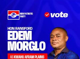 Afram Plains: Assembly Member Edem Morglo Eyes NPP Constituency Youth Organizer Post