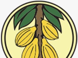 Ghana Retains Cocoa Producer Price for 2025/26 Light Crop Season Amid Falling Global Prices