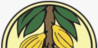 Ghana Retains Cocoa Producer Price for 2025/26 Light Crop Season Amid Falling Global Prices